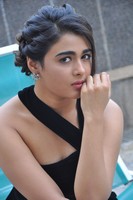 Shalini Pandey Latest Gallery